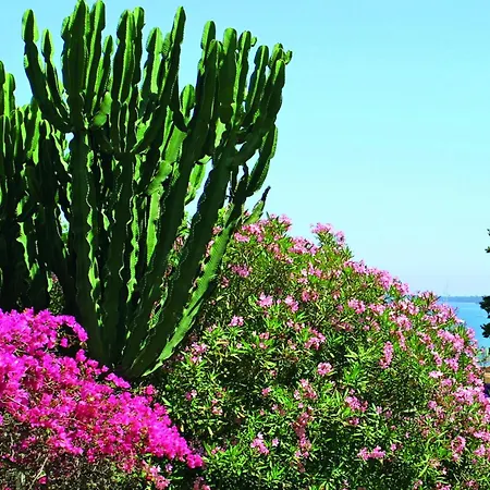 Apartman Miramare Imperatrice House San Remo
