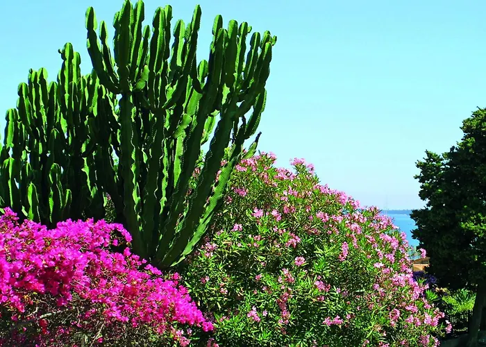 公寓 Miramare Imperatrice House 圣雷默